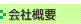 ЊTv